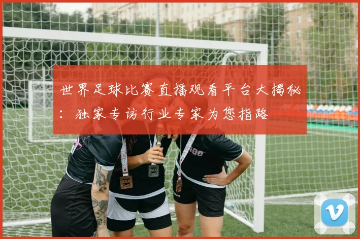 世界足球比赛直播观看平台大揭秘:独家专访行业专家为您指路