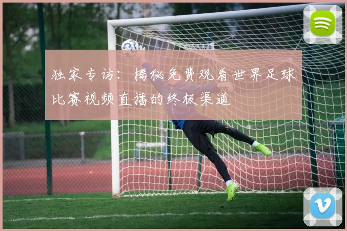 独家专访：揭秘免费观看世界足球比赛视频直播的终极渠道